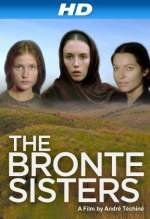 Las hermanas Brontë