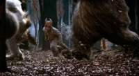 Where the Wild Things Are