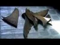 Tiburón: En las garras del hombre