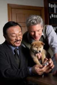Imagen de Siempre a tu lado. Hachiko