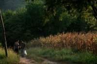 Imagen de Uncle Boonmee recuerda sus vidas pasadas