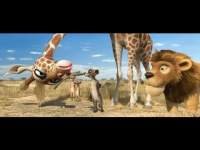 Animals United
