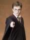 Foto de Harry Potter y la orden del Fénix