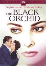 OrquÃ­dea negra