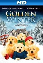 Golden Winter