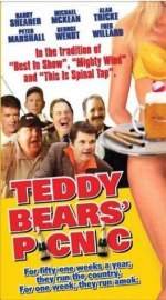 Teddy Bears´ Picnic