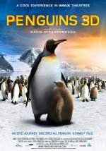 The Penguin King 3D