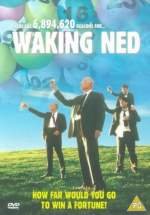 Despertando a Ned