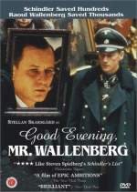 God Afton, Herr Wallenberg