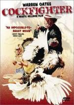 Gallos de pelea