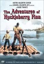 The Adventures of Huckleberry Finn