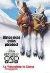 Hermano Oso