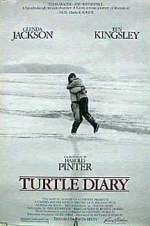 Turtle Diary