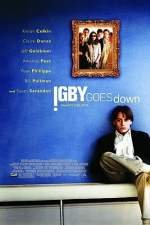 La gran caÃ­da de Igby