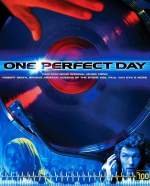 One Perfect Day