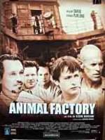 Animal Factory