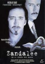 Zandalee (En el lÃmite del deseo)