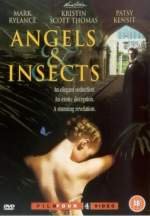 Ãngeles & insectos