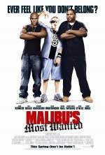 MalibuÂ´s Most Wanted