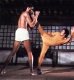 Imagen de Bruce Lee