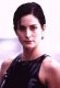 Imagen de Carrie-Anne Moss