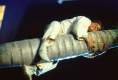 Imagen de Chris Farley