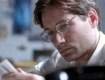Imagen de David-William Duchovny