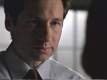 Imagen de David-William Duchovny