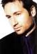 Imagen de David-William Duchovny