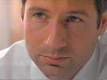 Imagen de David-William Duchovny