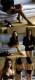 Imagen de Jennifer Connelly