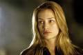 Imagen de Piper Perabo