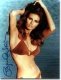 Imagen de Raquel Welch