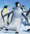 Happy Feet 2