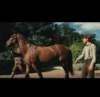 Caballo de batalla, trailer en español Caballo de batalla, trailer en español