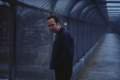 Foto de American splendor