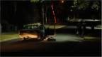 Imagen de Animal Kingdom