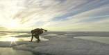 Foto de Atanarjuat: La leyenda del hombre veloz
