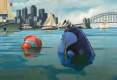 Foto de Buscando a Nemo