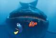 Foto de Buscando a Nemo