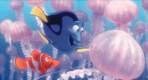 Imagen de Buscando a Nemo