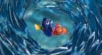 Imagen de Buscando a Nemo