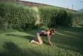 Imagen de Canino