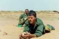 Imagen de Cuentos de la guerra Saharaui