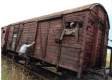 Imagen de El último tren a Auschwitz