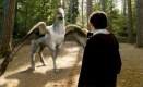 Imagen de Harry Potter y el prisionero de Azkaban