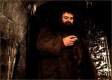 Imagen de Harry Potter y la piedra filosofal