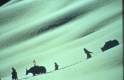 Imagen de Himalaya