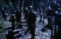 Imagen de House of the Dead