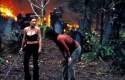 Imagen de House of the Dead